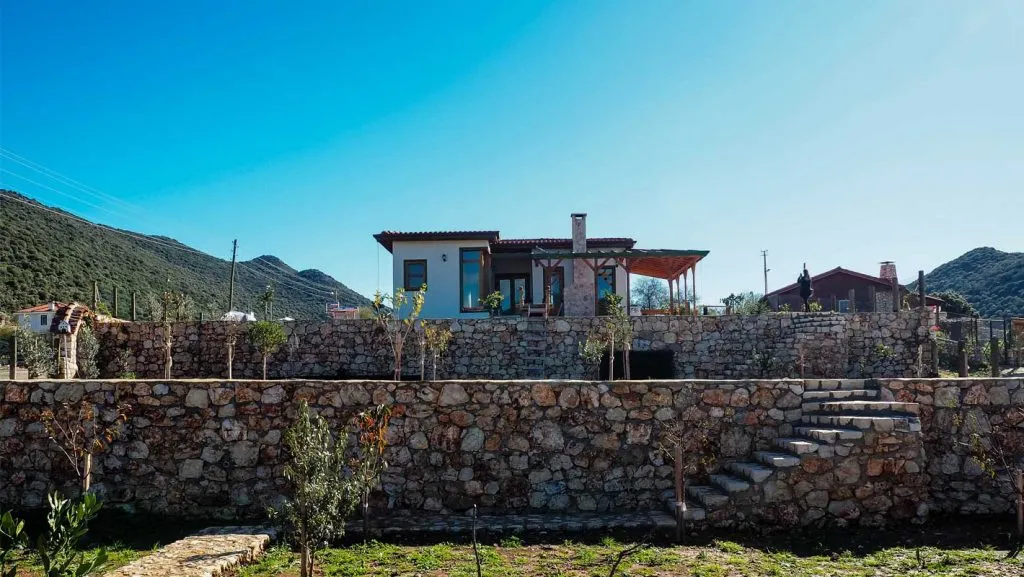 M EVİ